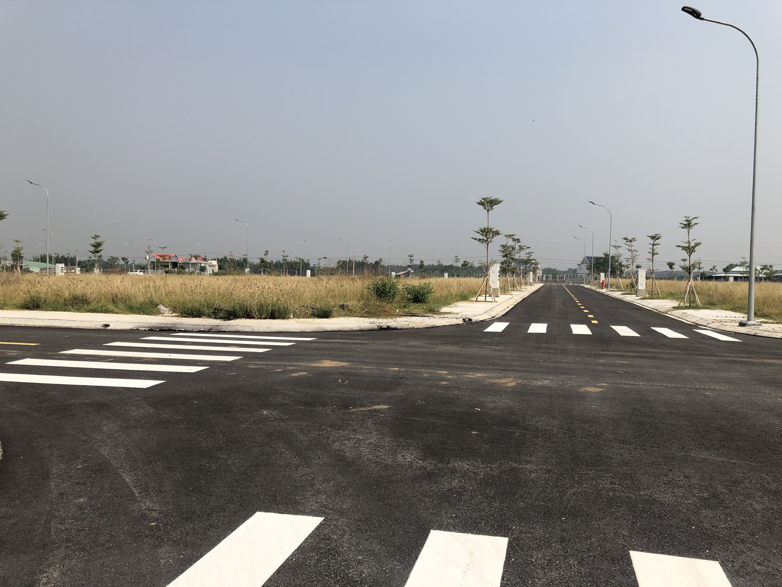 z2334965506469_1515fd87fda606ee8d48167800a5ed94