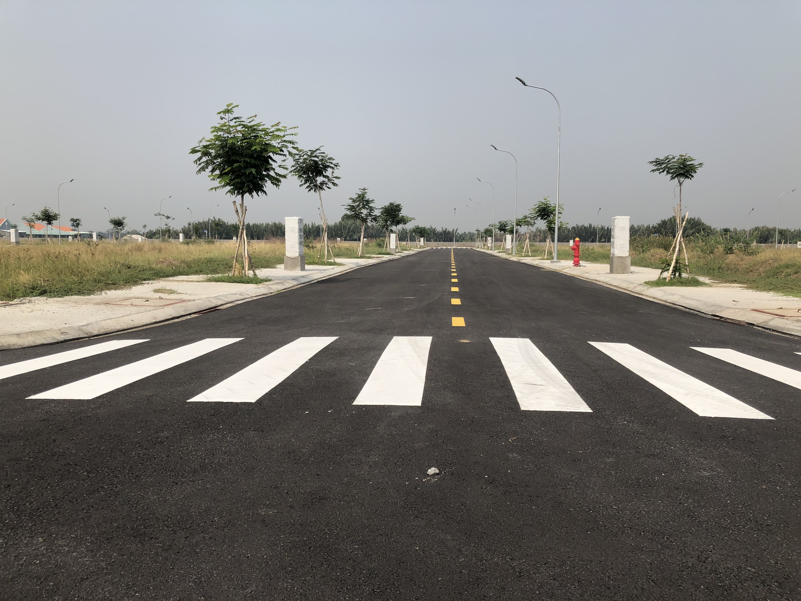 z2334965511753_25af8b514c89dc98759e9e1b59c15b2c